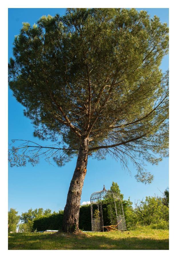 Chambre Soignee Et Accueillante A La Campagne - Ch Bleue L'Honor-de-Cos Экстерьер фото